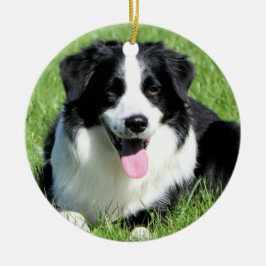 Schwarz-Weiß-Grenzkugel im Gras Keramik Ornament