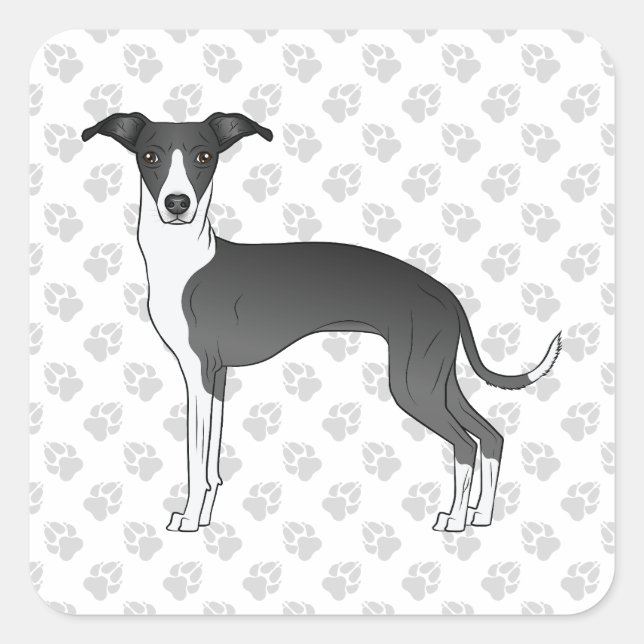 Schwarz-Weiß-Greyhound mit Paaren Quadratischer Aufkleber (Vorderseite)