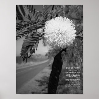 Schwarz-Weiß-Hawaiianische Blume Poster