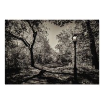 Schwarz-Weiß-Herbst-Zentralpark-Sicht