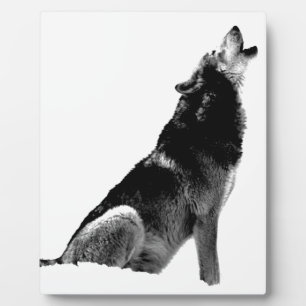 Schwarz-weiß Howling Wolf Fotoplatte