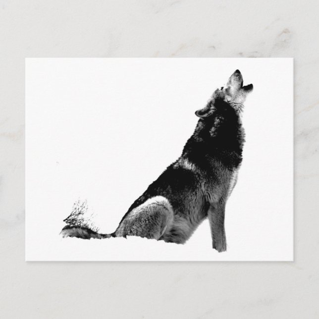 Schwarz-weiß Howling Wolf Postkarte (Vorderseite)