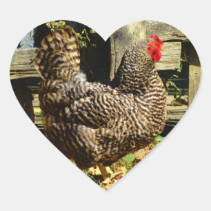 Schwarz-Weiß-Huhn Herz-Aufkleber
