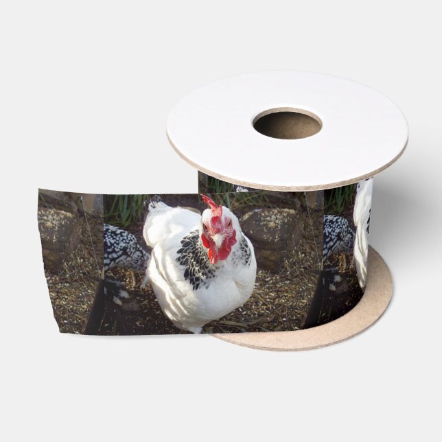Schwarz-Weiß-Hühnerschnallen, Satinband (Spule)
