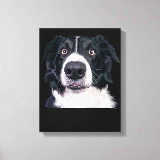 Schwarz-Weiß-Hundegesicht Leinwanddruck (Vorderseite)