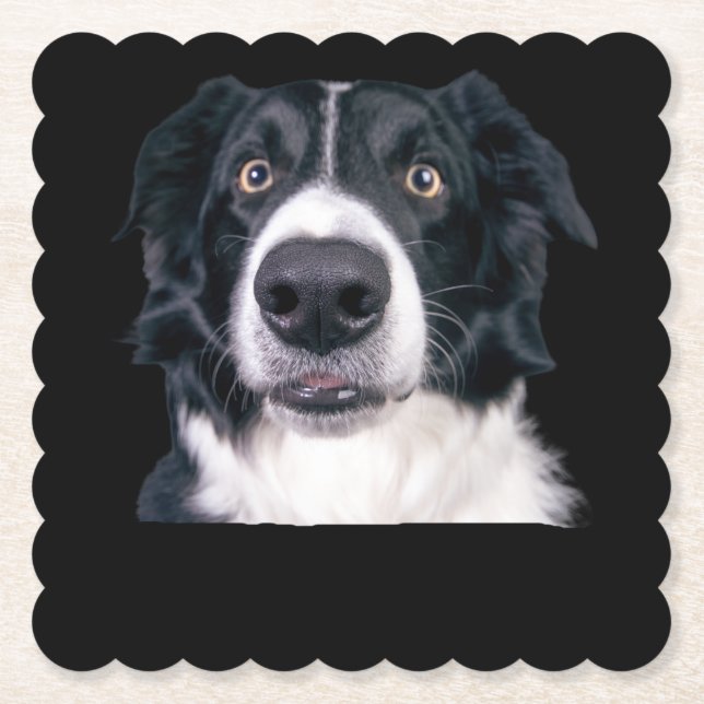 Schwarz-Weiß-Hundegesicht Untersetzer (Vorderseite)