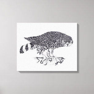 Schwarz-Weiß-Illustration von Sparrow Hawk Leinwanddruck
