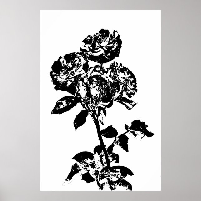Schwarz-Weiß-Illustrierte Rose Art Poster (Vorne)