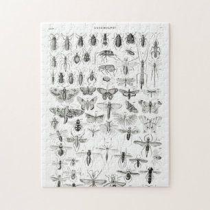 Schwarz-Weiß-Insekten-Bugs-Papiertüte