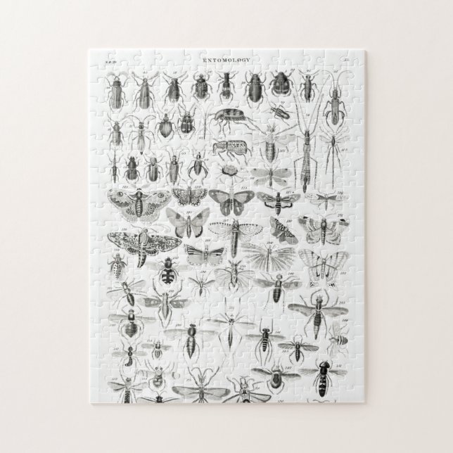 Schwarz-Weiß-Insekten-Bugs-Papiertüte (Vertikal)