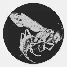 Schwarz-Weiß-Insekten im minimalistischen Stil