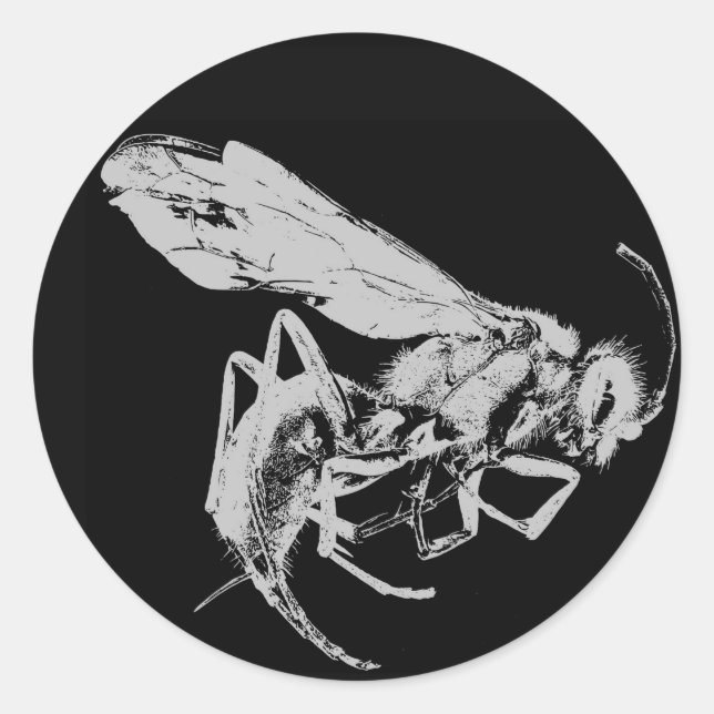 Schwarz-Weiß-Insekten im minimalistischen Stil Runder Aufkleber (Vorderseite)