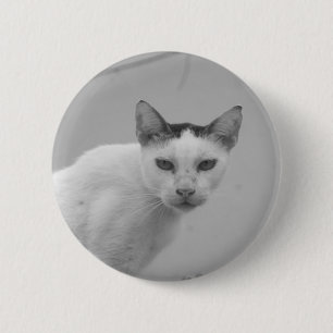 Schwarz-Weiß - Katze 02 Button