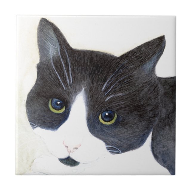 Schwarz-weiß-Katze Fliese (Vorderseite)