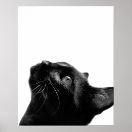 Schwarz-Weiß-Katze Foto Kinderzimmer Poster