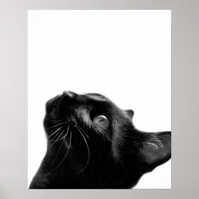 Schwarz-Weiß-Katze Foto Kinderzimmer Poster (Vorne)
