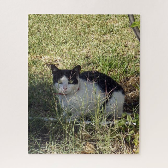 Schwarz-Weiß-Katze im Garten, (Vertikal)