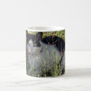 Schwarz-Weiß-Katze im Garten, Kaffeetasse