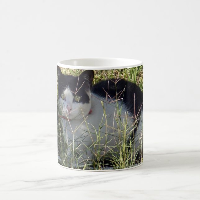 Schwarz-Weiß-Katze im Garten, Kaffeetasse (Mittel)