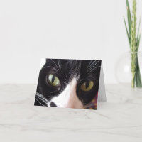 Schwarz-Weiß-Katze mit grüner Augen-Note-Karte
