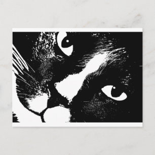 Schwarz-Weiß-Katze nah Postkarte