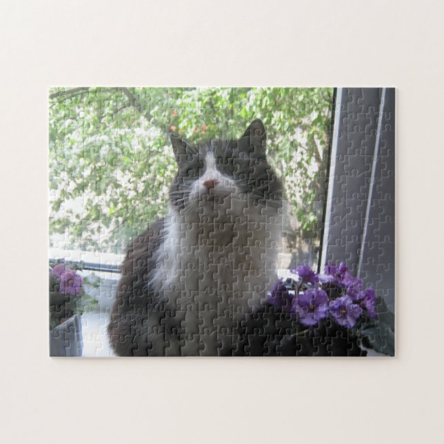 Schwarz-Weiß-Katze und Blume. (Horizontal)