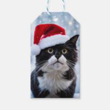 Schwarz-Weiß-Katze Weihnachten