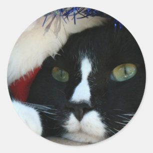 Schwarz-Weiß-Katze-Weihnachtsmannmütze Runder Aufkleber