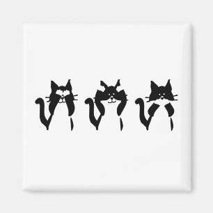Schwarz-Weiß-Katzen   Drei weise Kätzchen Magnet