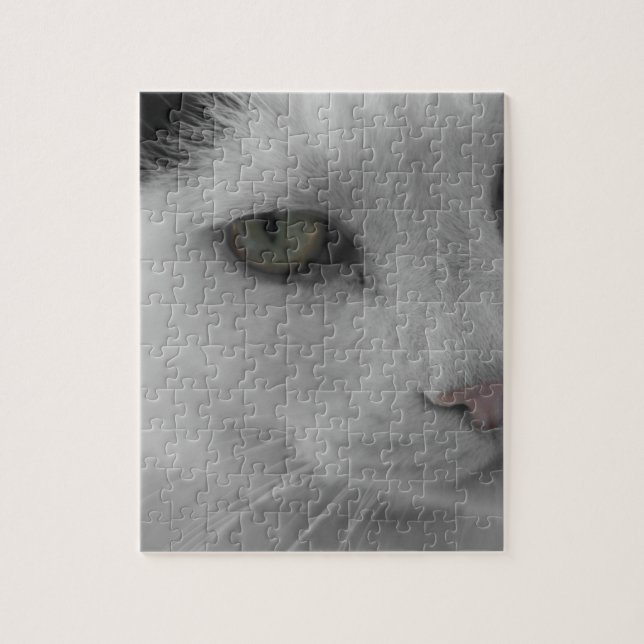 Schwarz-Weiß-Katzen im Gesicht (Vertikal)