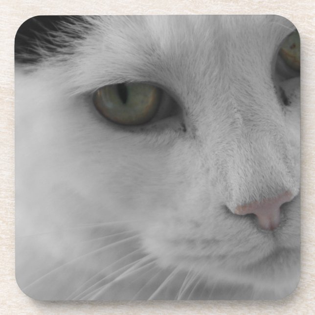 Schwarz-Weiß-Katzen im Gesicht Getränkeuntersetzer (Vorderseite)