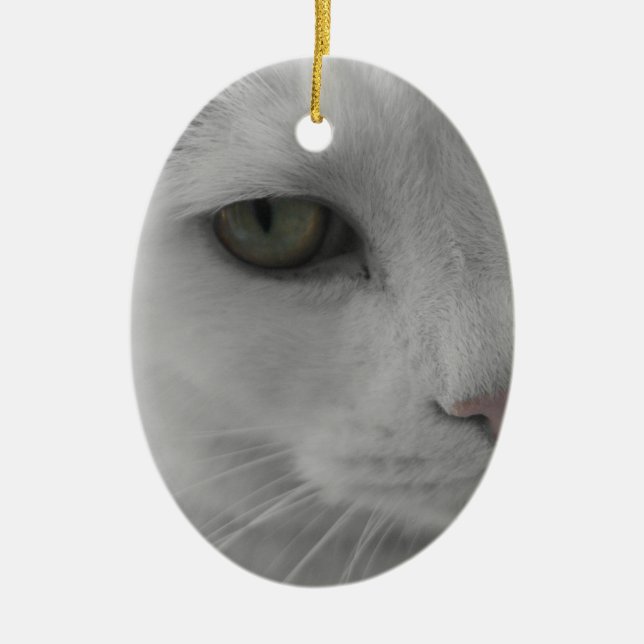 Schwarz-Weiß-Katzen im Gesicht Keramik Ornament (Vorne)
