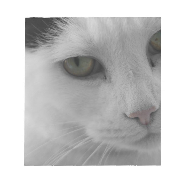 Schwarz-Weiß-Katzen im Gesicht Notizblock (Vorderseite)