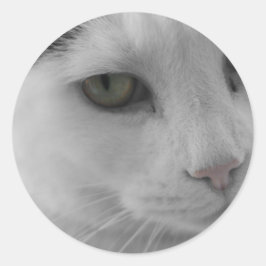 Schwarz-Weiß-Katzen im Gesicht Runder Aufkleber