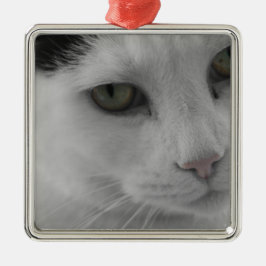Schwarz-Weiß-Katzen im Gesicht Silbernes Ornament
