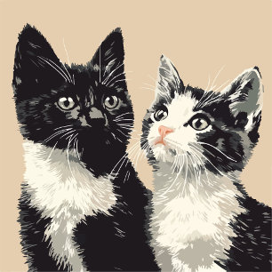 Schwarz-Weiß-Katzen iPhone / iPad-Hülle 16 Plus Hülle