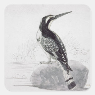 Schwarz-Weiß-Kingfisher Quadratischer Aufkleber