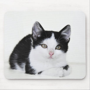Schwarz-Weiß-Kitte Mousepad