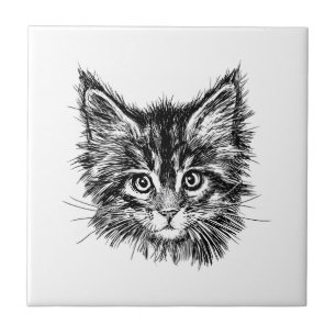 Schwarz-Weiß-Kitten Fliese