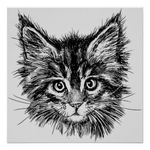 Schwarz-Weiß-Kitten-Gesichter auf Grau Poster