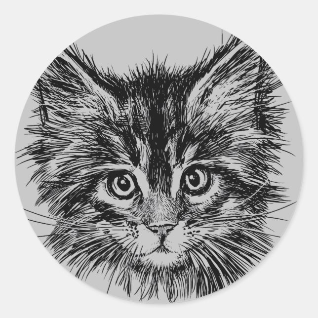Schwarz-Weiß-Kitten-Gesichter auf Grau Runder Aufkleber (Vorderseite)