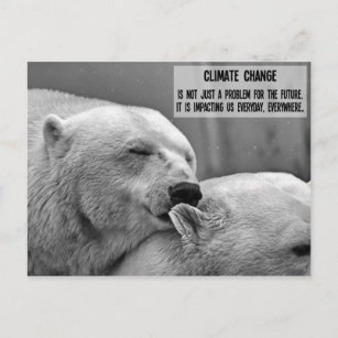 Schwarz-Weiß-Klimawandel mit Eisbären Postkarte