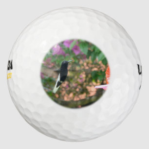 Schwarz-Weiß-Kolibri, der an einem Zubringer flieg Golfball