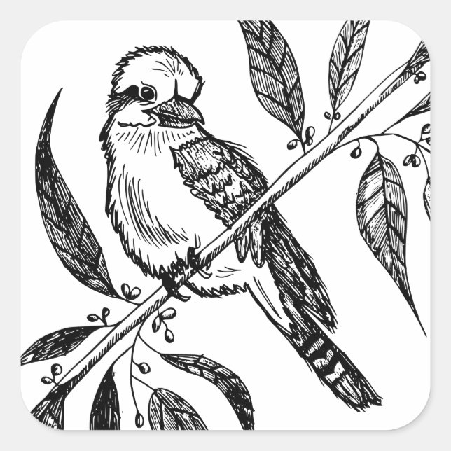 Schwarz-Weiß-Kookaburra am Zweig Zeichnend Quadratischer Aufkleber (Vorderseite)