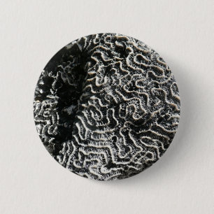 Schwarz-Weiß-Koralle I Abstrakte Naturfotografie Button