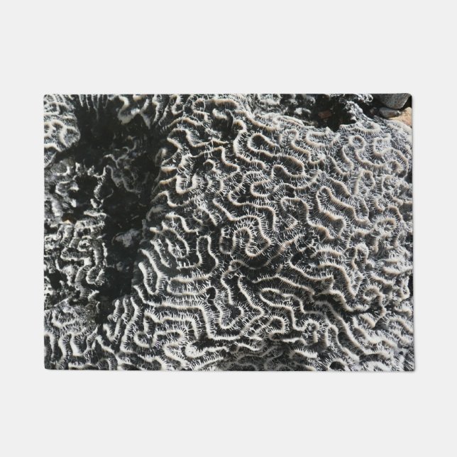Schwarz-Weiß-Korallen I Abstrakt-Natur-Foto Fußmatte (Vorderseite)
