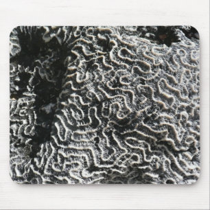 Schwarz-Weiß-Korallen I Abstrakt-Natur-Foto Mousepad