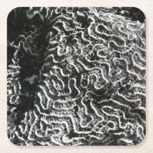 Schwarz-Weiß-Korallen I Abstrakt-Natur-Foto Rechteckiger Pappuntersetzer