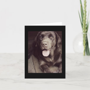 Schwarz-Weiß-Labrador-Retriever-Hundekarte Karte