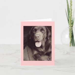 Schwarz-Weiß-Labrador-Retriever-Hundekarte Karte